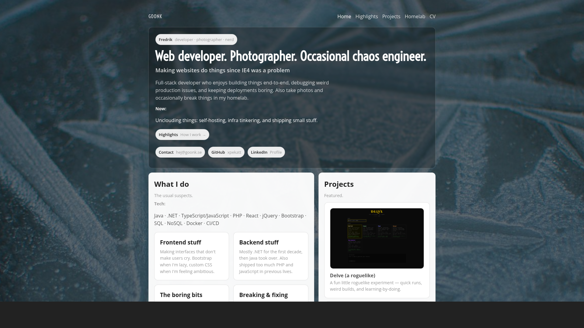 Screenshot of goonk.se CV page
